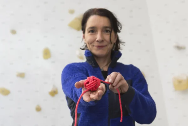 курсове walltopia